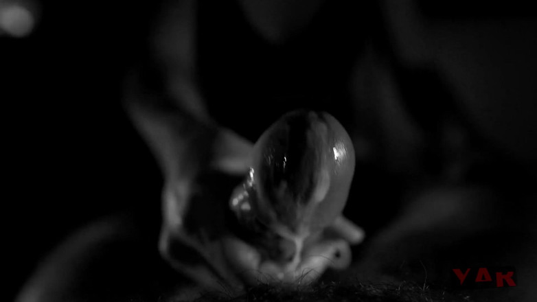 YARzabello: Erotic blowjob with biting of the foreskin. Depraved wife enjoys...