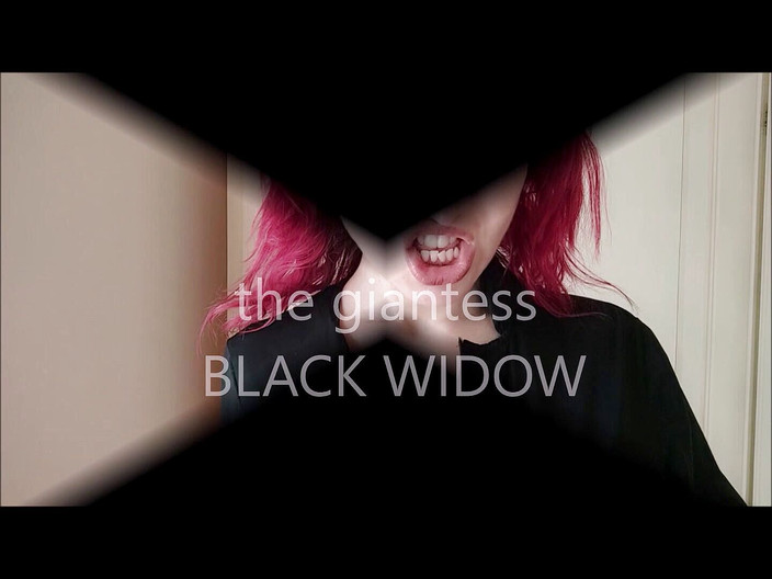 savannahamatoriale: Чорношкіра вдова велетень