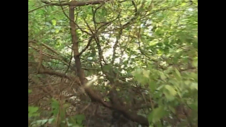 Don't say a word: Il cavernitore sottomesso alla sua padrona