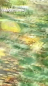 Teenenger Fucked in the Park and Squirted in Mouth