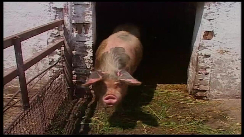 Vintage Movies XXX Best of: Vintage blonďatá milfka ošukaná ve stodole a venku