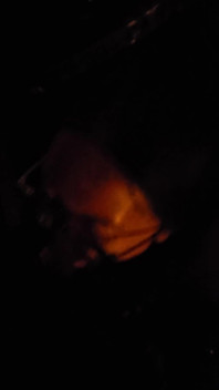 Blowjob in the Street
