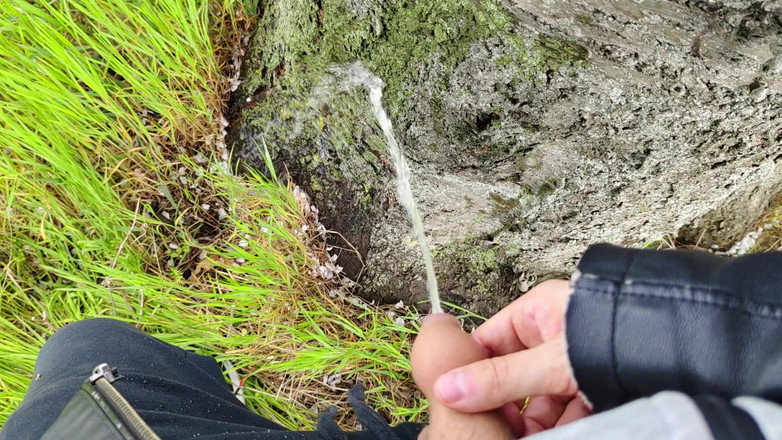 Bayer911: Torta no Oak