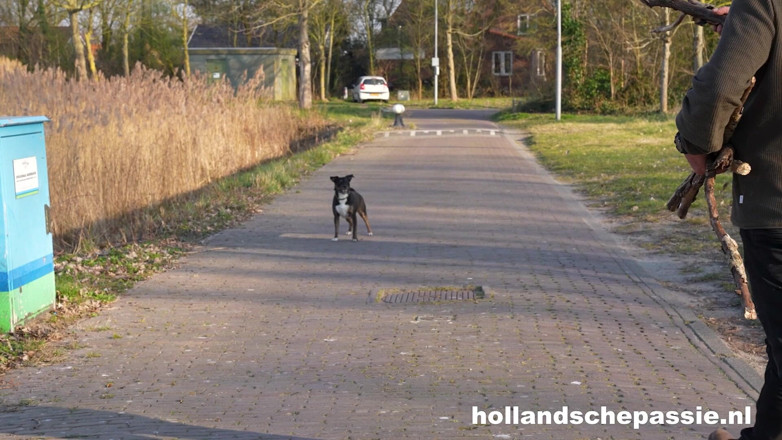 Hollandsche Passie: Nice, with Daphne Laat! - Hollandschepassie
