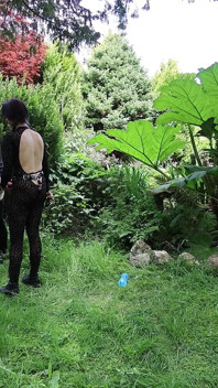 Wild Pegging