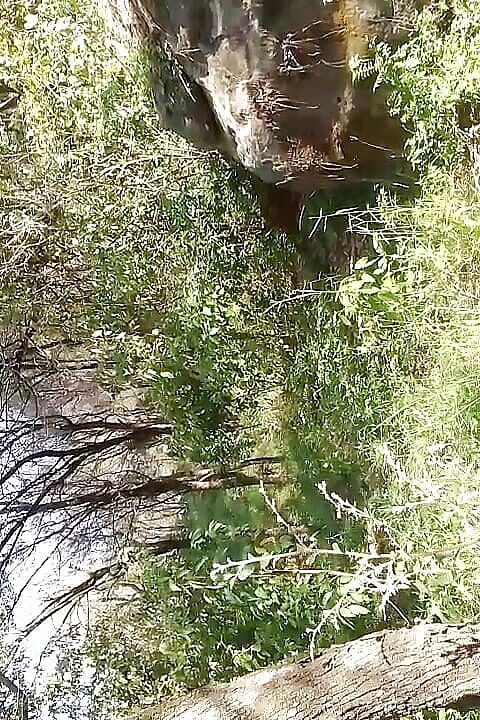 Gangbang straight: Il fidanzato di suhani nella giungla beccato a pisciare