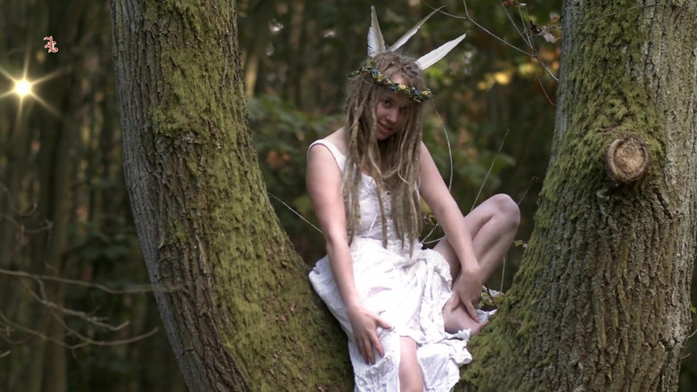 Inquisition and prison world: Fierce Fairy - uma fada da floresta doce é trazida para interrogatório...