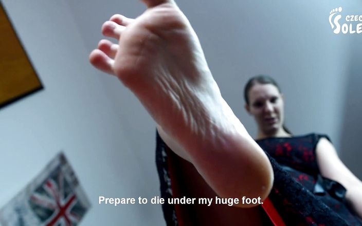 Czech Soles - foot fetish content: Foot crushing this annoying little bug - you!