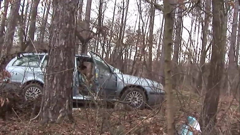 Euro Sluts: Grober analfick in meinem auto mit einer sehr huren-schlampe!!