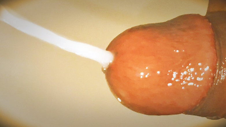 Sex art straight: Pancutan mani desi