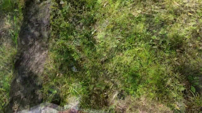 qaz11: A Quick Handjob by the River