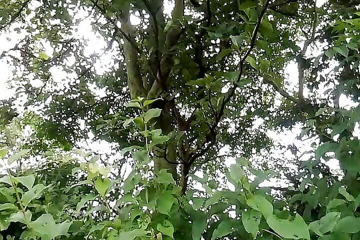 Gangbang straight: Дикий йобарь у масці голий раз у своєму сільському азіатському союзі