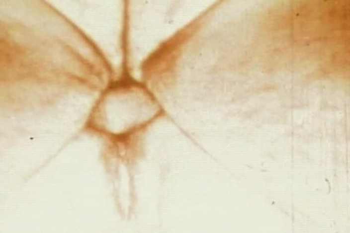 Japan Babe: Sepia Vintage Anal Loop with Close-up Retro Backdoor Worship