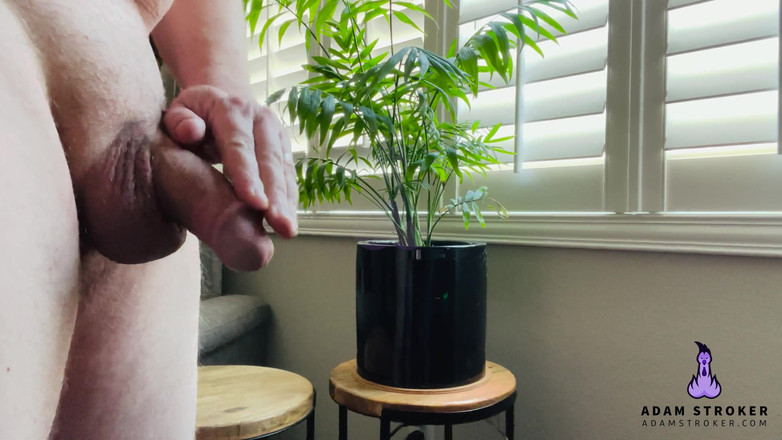 Adam Stroker: Losyen &amp; Letupan