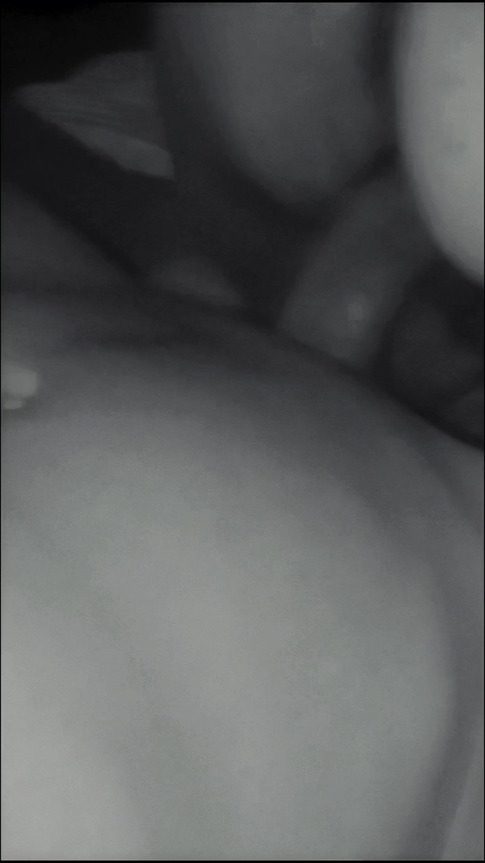 Lily & Theo: 가장 맛있는 신음은 결혼한 친구들의 신음입니다.