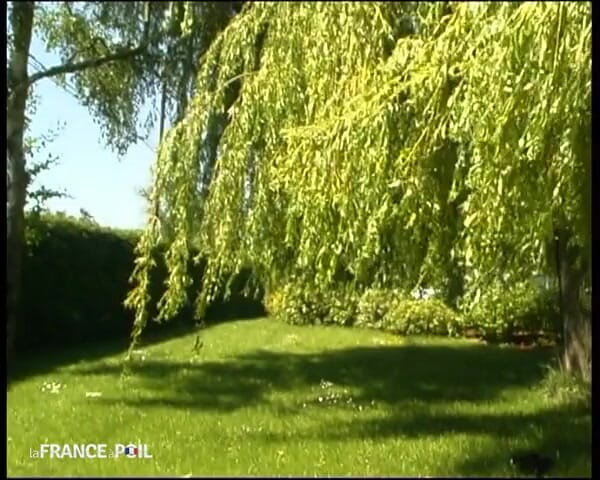 French Family Secrets: Fucking Hell, She's Good!