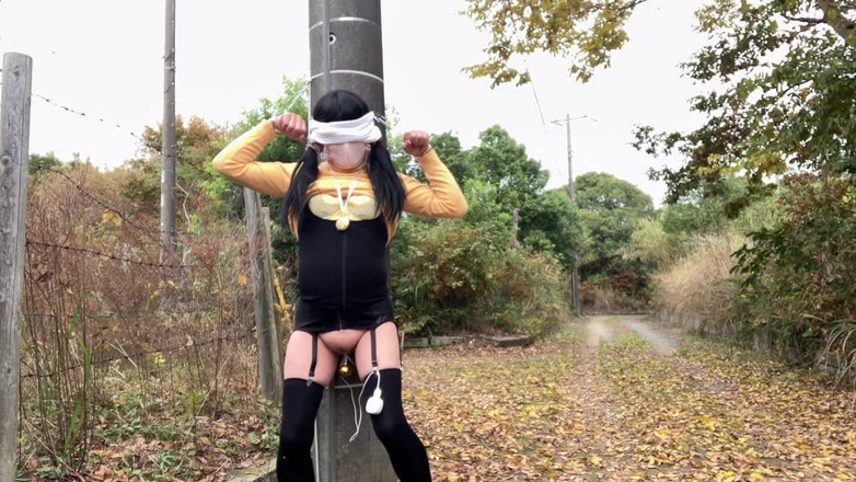 megu2002: Đào tạo trực tiếp của huấn luyện viên Đào tạo cánh...