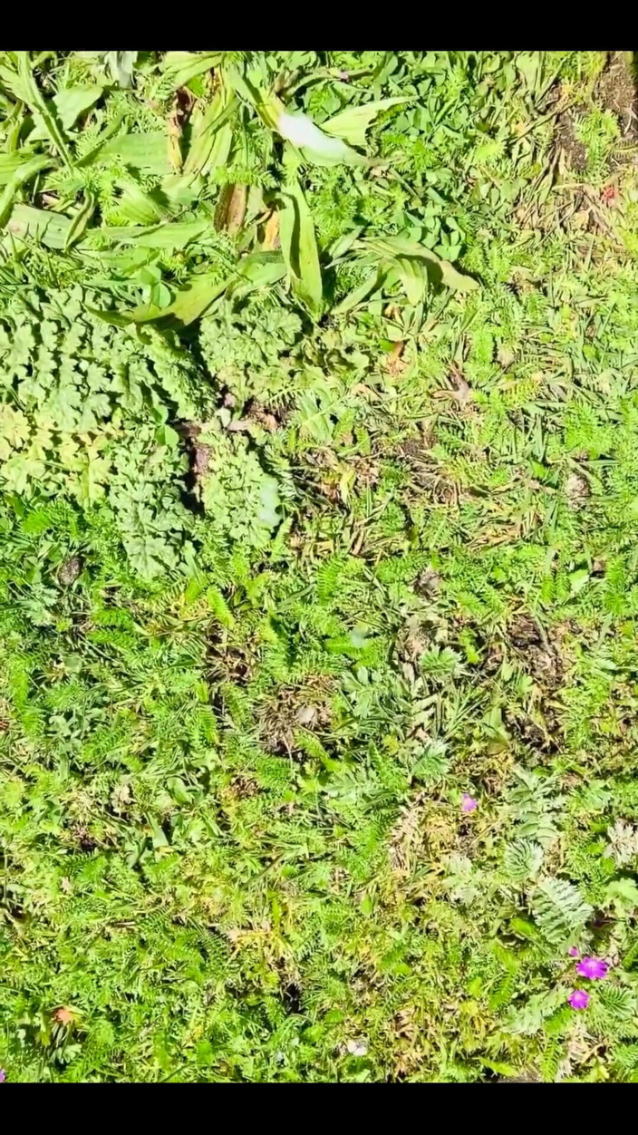 Sem Devon: My First Outdoor Compilation