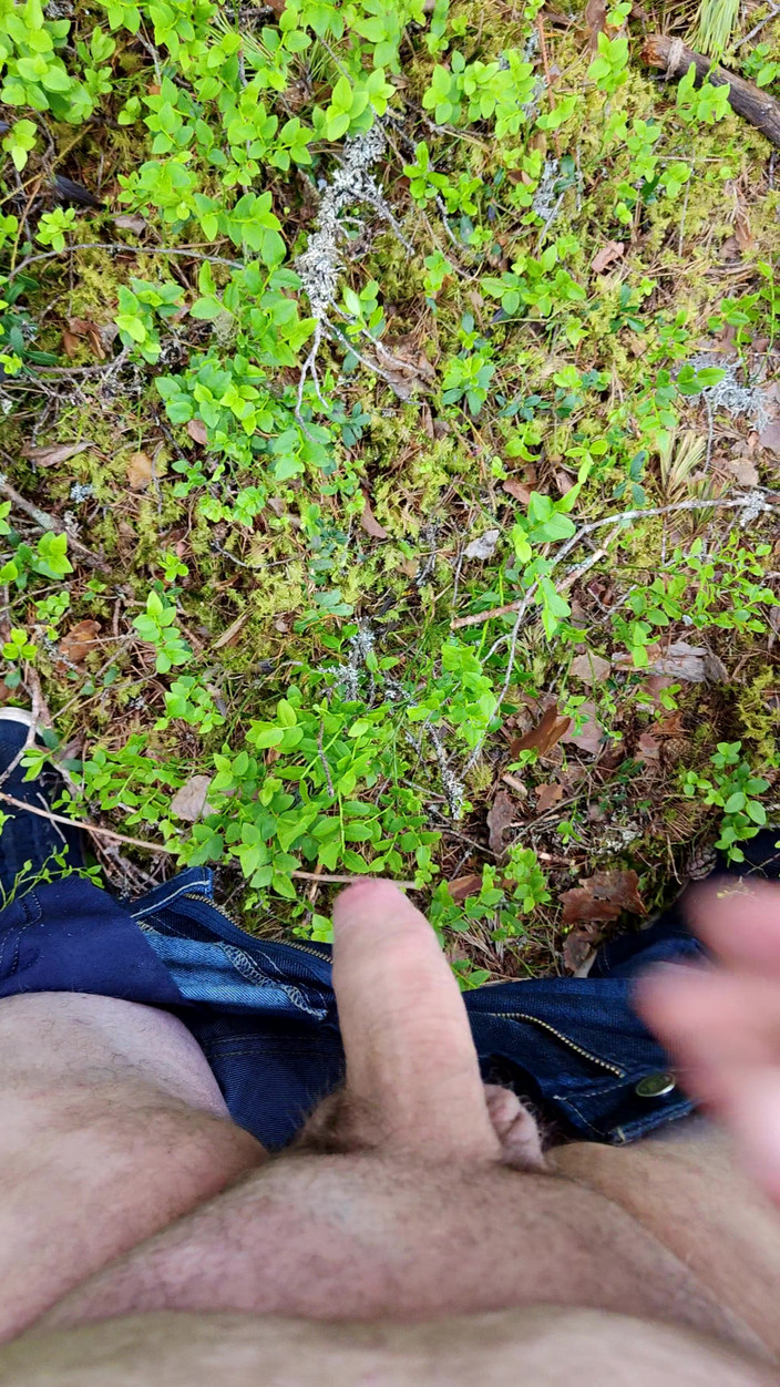 Stiansr: Nadržená v lese