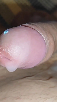 Curvilinear Pulsation of the Robust Cummed Limb