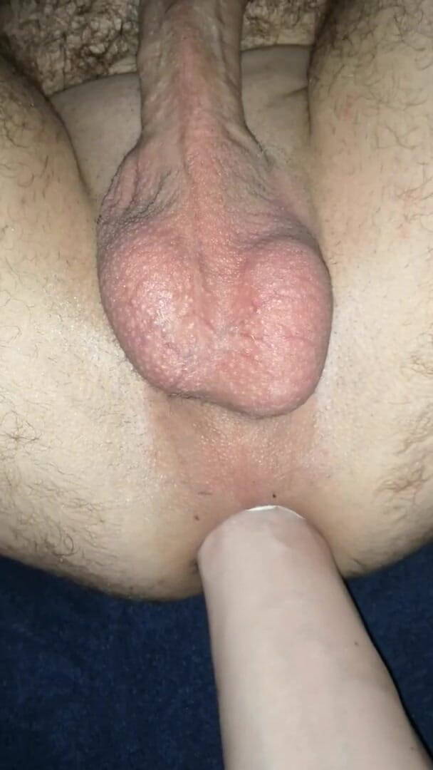 Wild Life PA: ディープフィスティング肛門夫