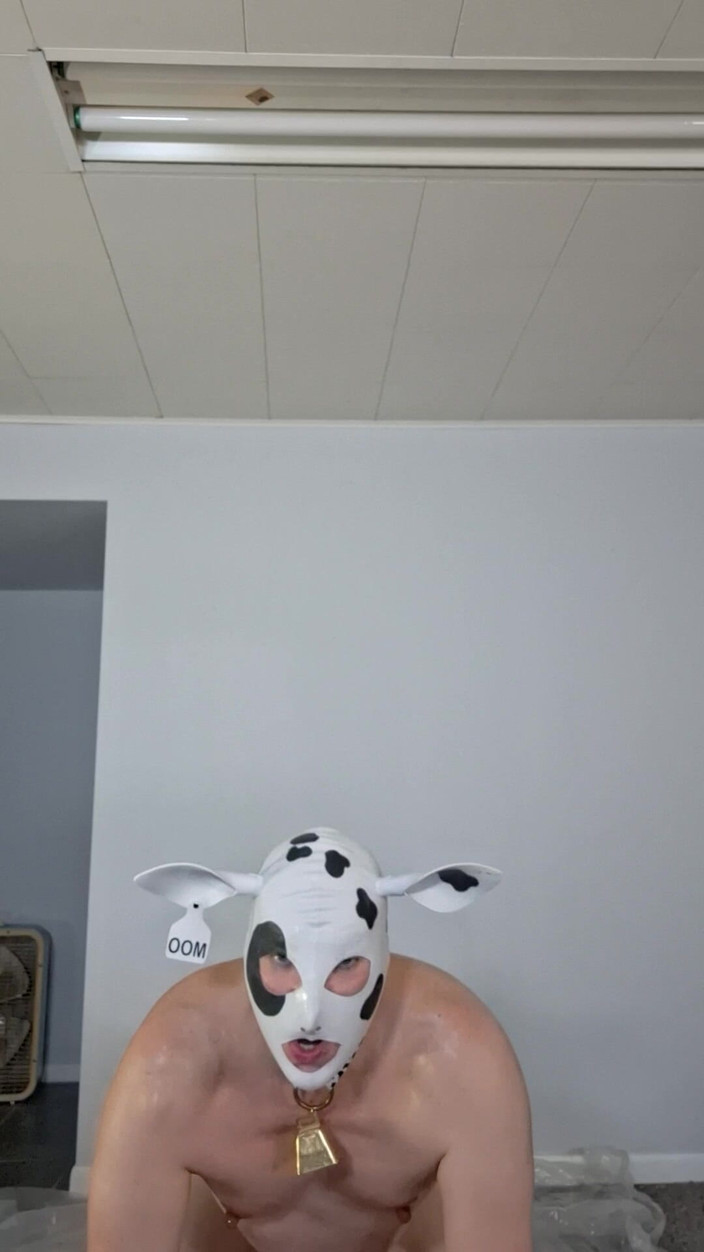 Victoria Lecherri: ゴールデン・ハウカウ!