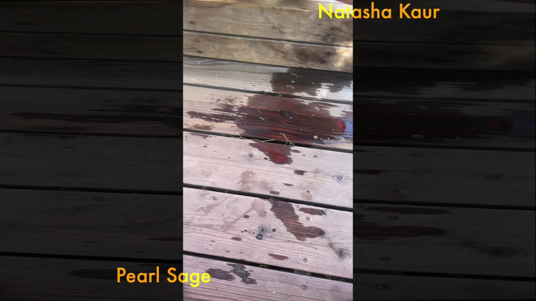 Natasha Kaur: Pionowe sikanie POV: sika na nasze owłosione cipki i orgazm