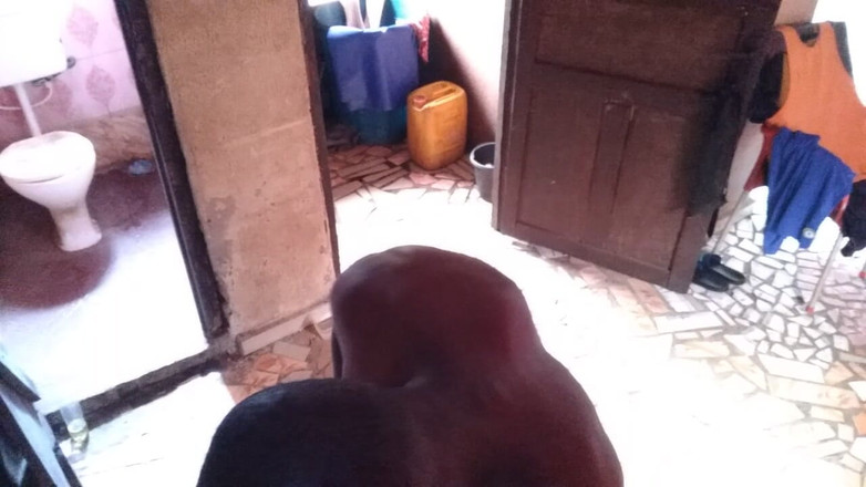 Moviesporn1: 보지를 핑거링하는 거유녀