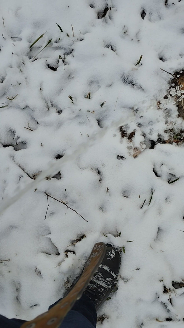 Bayer911: Pai di luar musim dingin dengan baju putih...