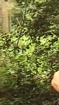 Busty Mature Brunette Teased Deep in Forest