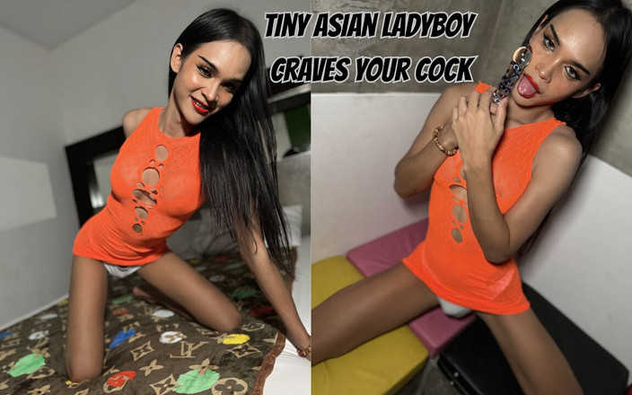 Ladyboy time VR: 자지를 갈망하는 겸둥이 아시아 레이디보이