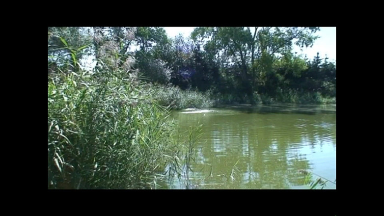 69 Italian District: Putes À La Campagne