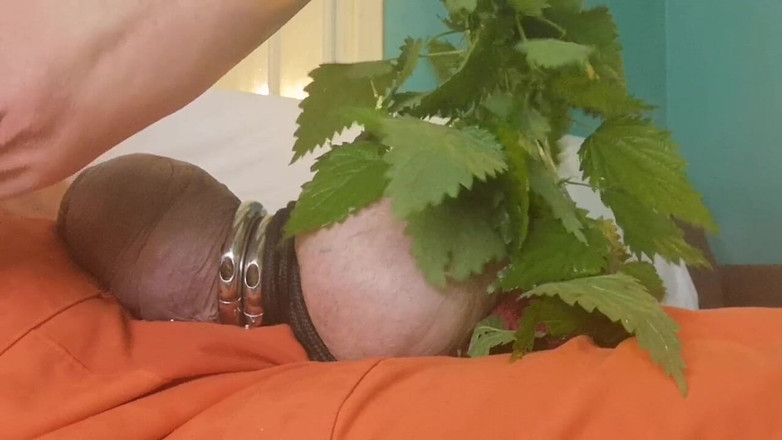 Monster_Meat_: 荨麻比电玩具热得多