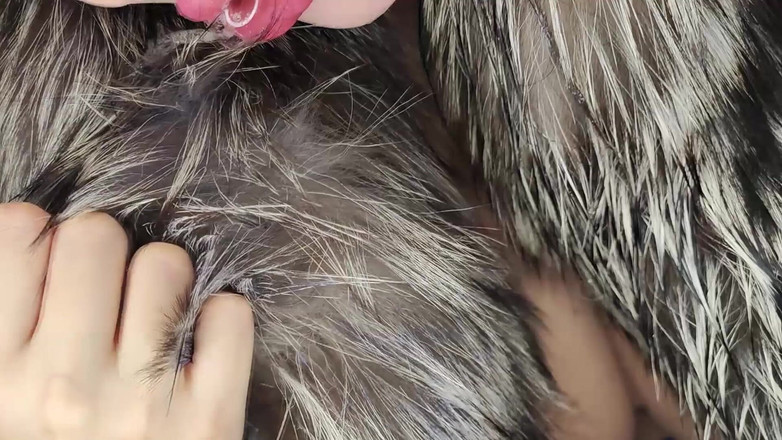 Princess18_: Pelliccia bagnata, doppio sborrata in pelliccia