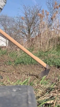 Géante jardinage devenu sauvage, elle plante un homme minuscule