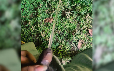 NewDickInTown: Small Penis College Boy Pissing Outdoor | Black Cock Piss