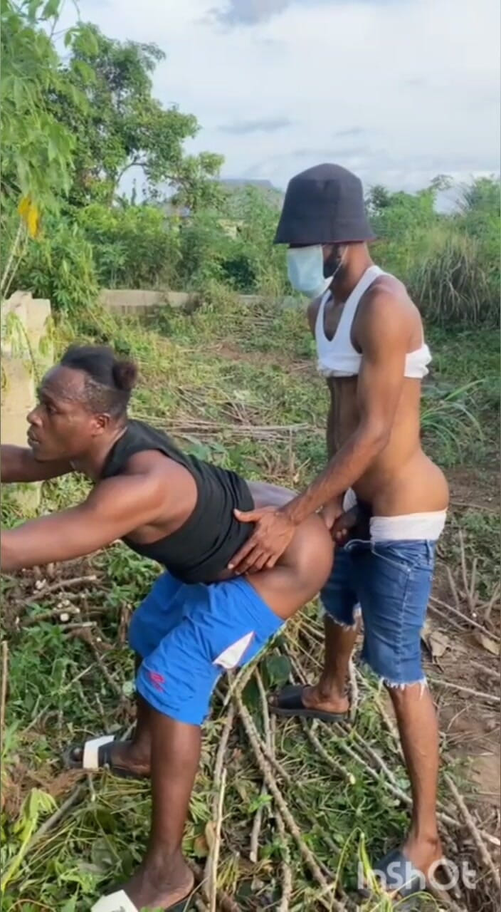 Chief_daddyy: Transmisión de tipo C a tipo C.