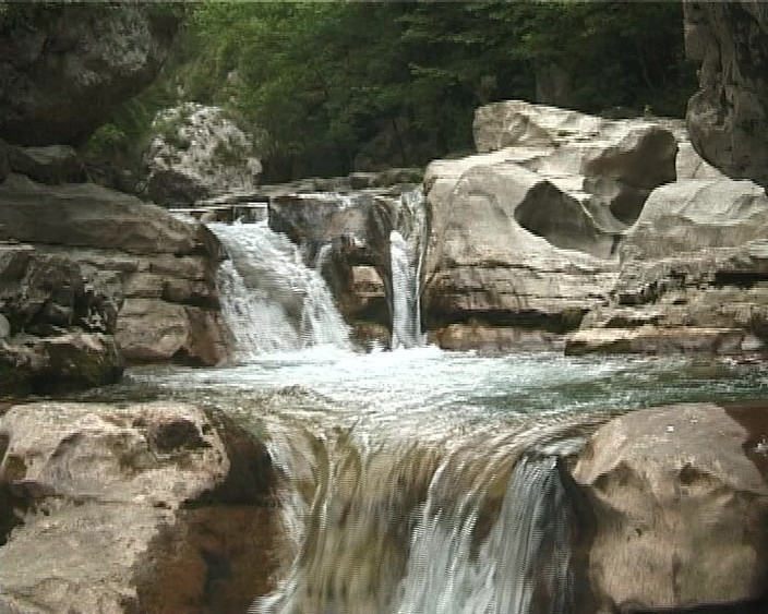 MSTX: Juana Generation X4