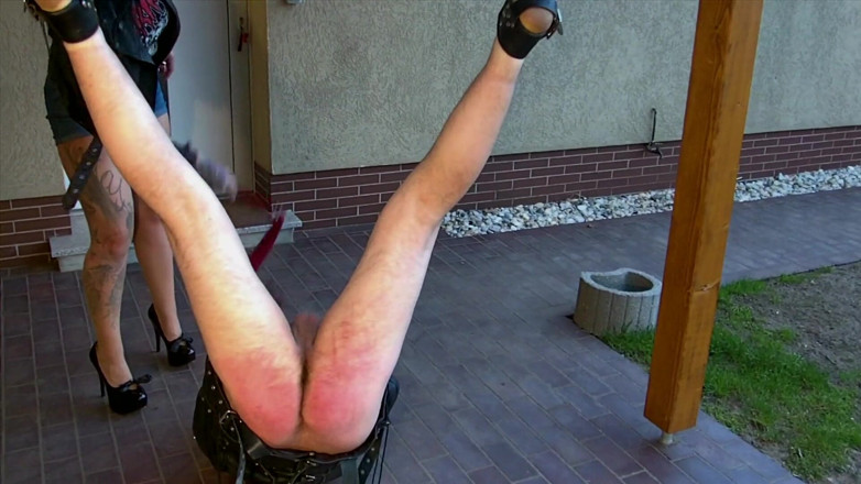 Domina Lady Vampira - SM Studio Femdom Empire: Suspension CBT – the femdom hangover
