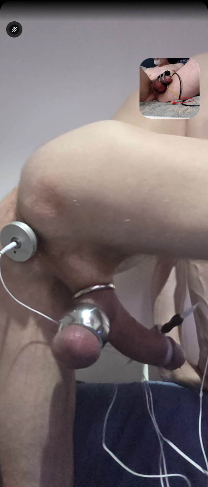 Prostatecumer: ペットは見知らぬ人に内臓を取られるのが大好きです