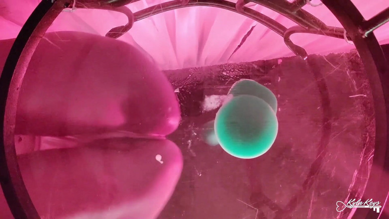 Kyla Keys: Uma vista do fundo