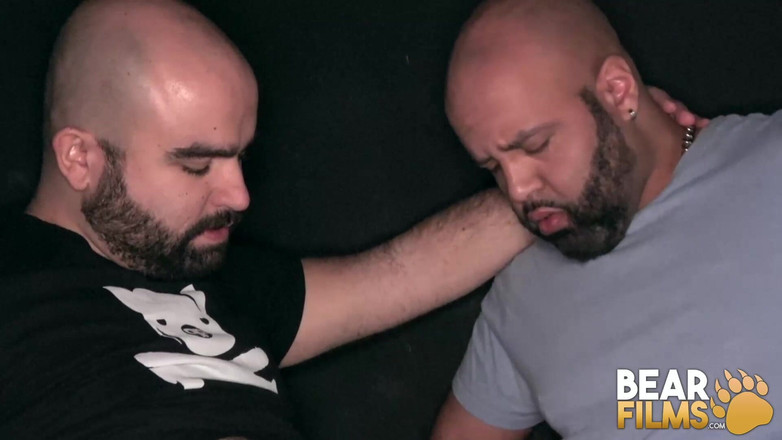 Bear Films: 곰필름 코뿔소와 브루클린 곰 원시 부수는 앤서니 그레이