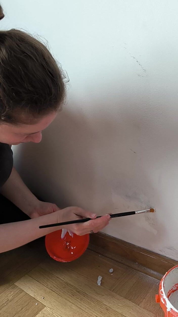 FenekManul: Wall Painting with Reparation Princess