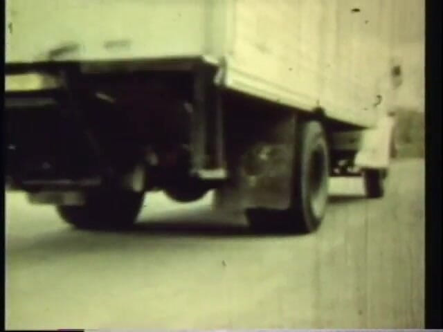Vintage Usa: 털이 무성한 보지