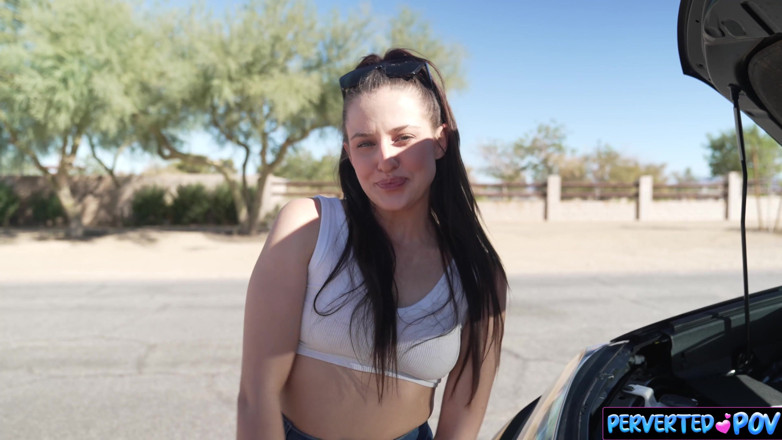 Perverted POV: Stranded Driver Gets Picked up for Sex