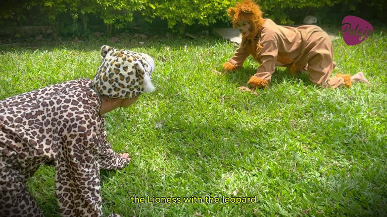 Pelaje mix: Natgio Mix: Hra na sex s divokými lvem a leopardy