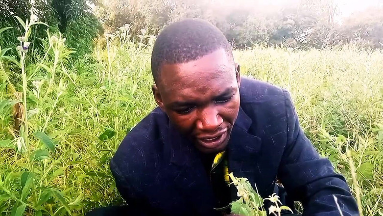 Judith xxx: 새로운 사랑에서