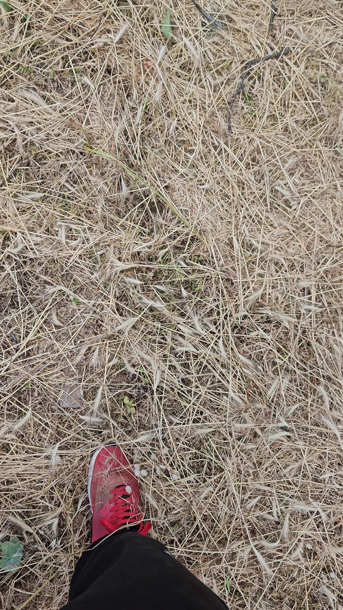 CockyBoy7: Wytrysk w polach