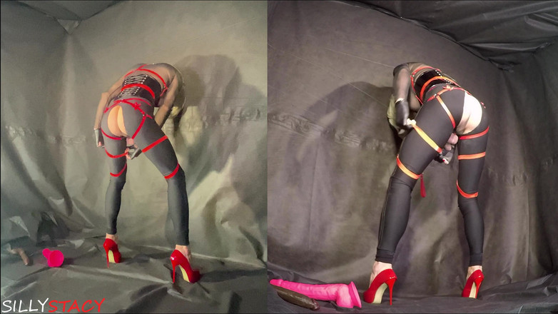 sillystacy: シシートレインズ