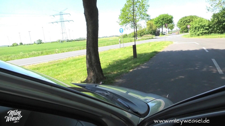 Miley Weasel: Крошку-блондинку трахают в задницу на улице!